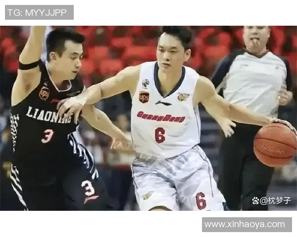 江华明星篮球明星